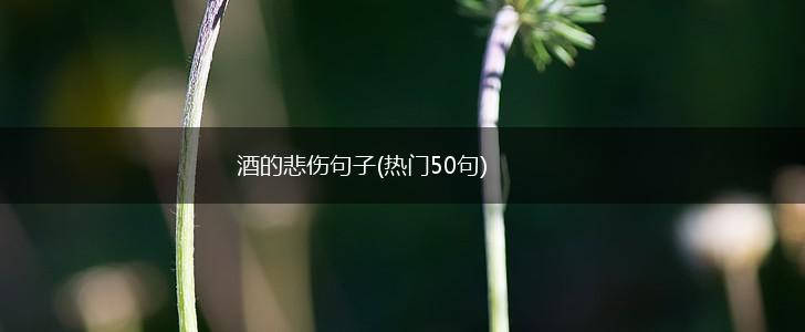 酒的悲伤句子(热门50句),第1张