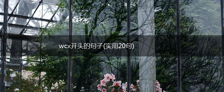 wcx开头的句子(实用20句),第1张
