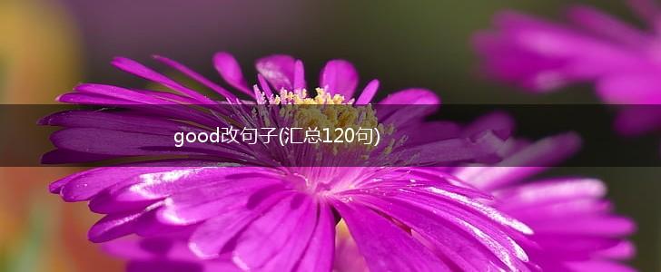 good改句子(汇总120句),第1张