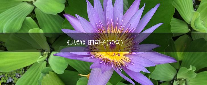 《共勉》的句子(50句),第1张