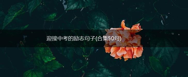 迎接中考的励志句子(合集50句),第1张