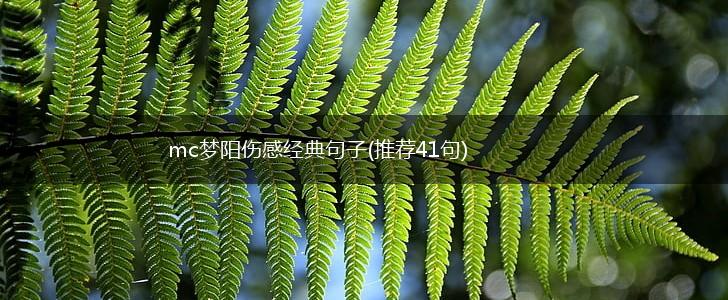 mc梦阳伤感经典句子(推荐41句),第1张