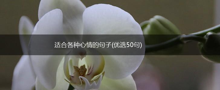 适合各种心情的句子(优选50句),第1张