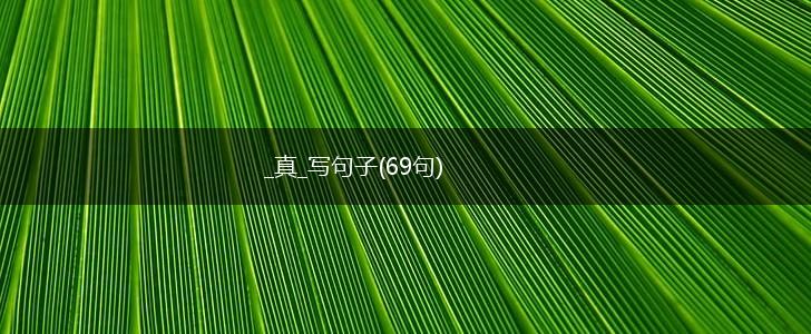 _真_写句子(69句),第1张
