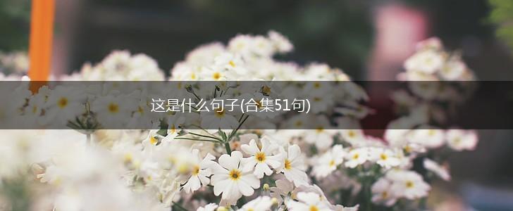 这是什么句子(合集51句),第1张