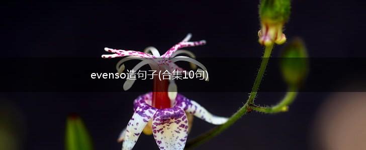 evenso造句子(合集10句),第1张