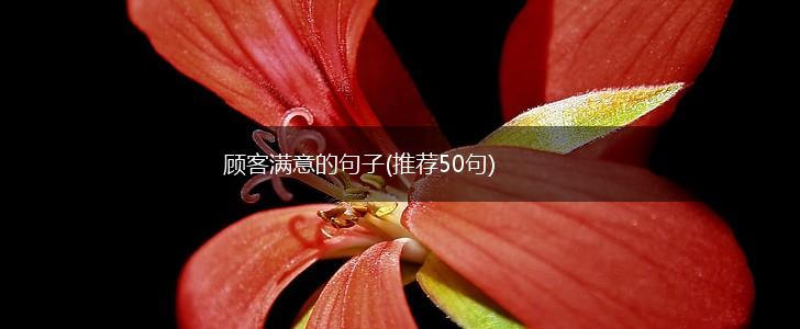 顾客满意的句子(推荐50句),第1张