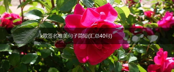k歌签名唯美句子简短(汇总40句),第1张