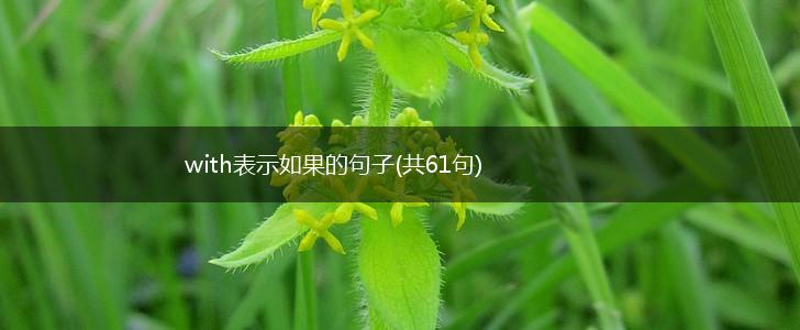 with表示如果的句子(共61句),第1张