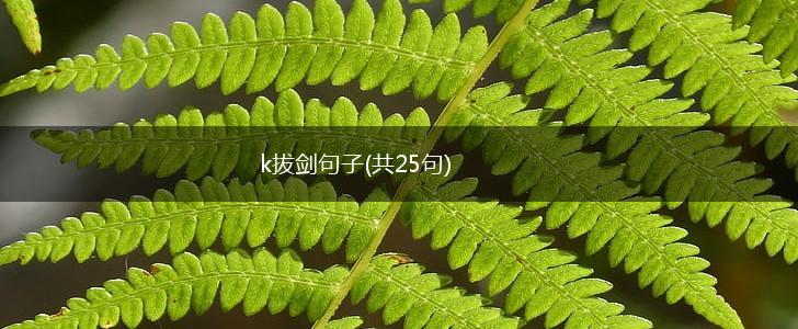 k拔剑句子(共25句),第1张