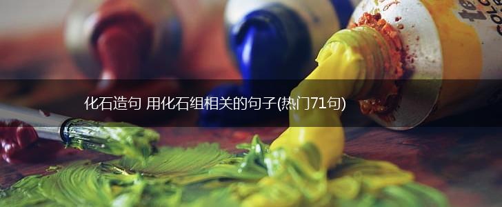 化石造句 用化石组相关的句子(热门71句),第1张