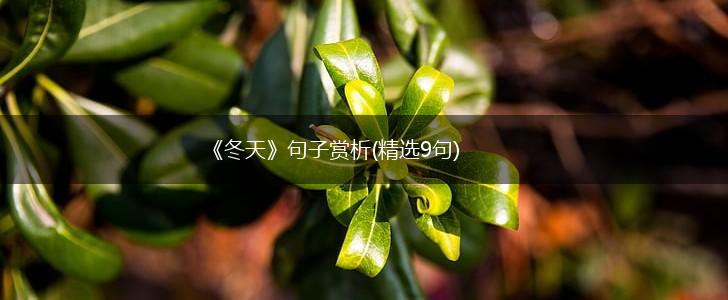 《冬天》句子赏析(精选9句),第1张