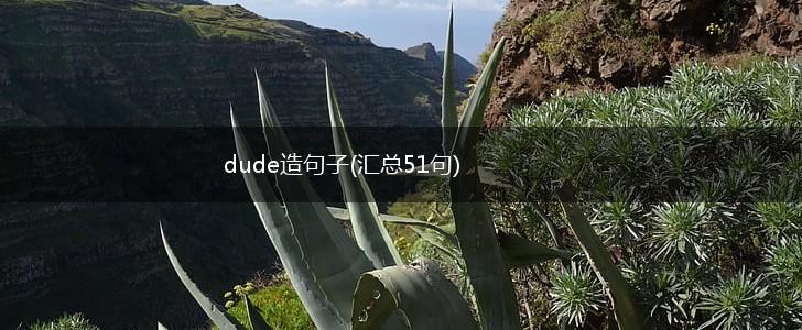 dude造句子(汇总51句),第1张