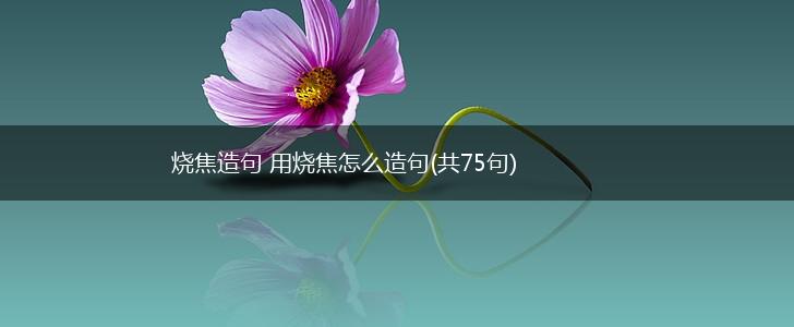 烧焦造句 用烧焦怎么造句(共75句),第1张
