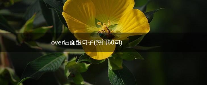 over后面跟句子(热门60句),第1张