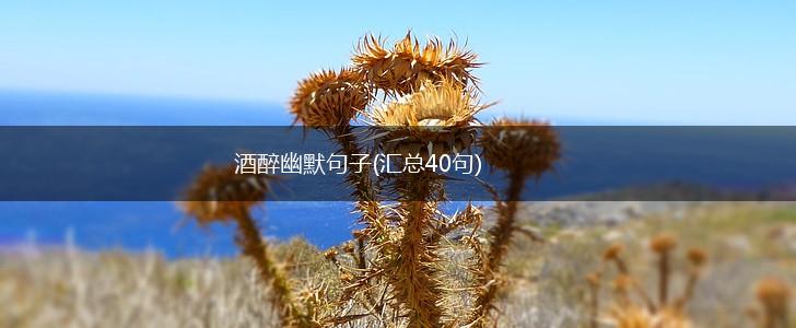 酒醉幽默句子(汇总40句),第1张