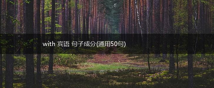 with 宾语 句子成分(通用50句),第1张