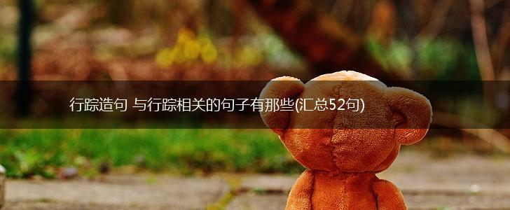 行踪造句 与行踪相关的句子有那些(汇总52句),第1张