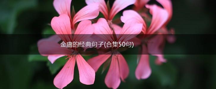 金庸的经典句子(合集50句),第1张