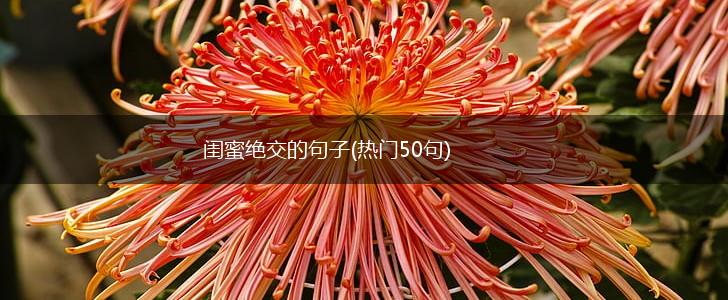闺蜜绝交的句子(热门50句),第1张