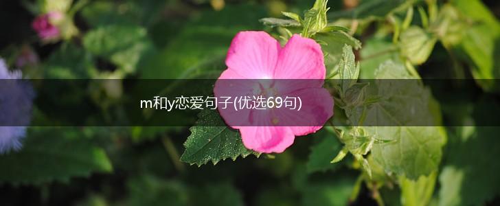 m和y恋爱句子(优选69句),第1张