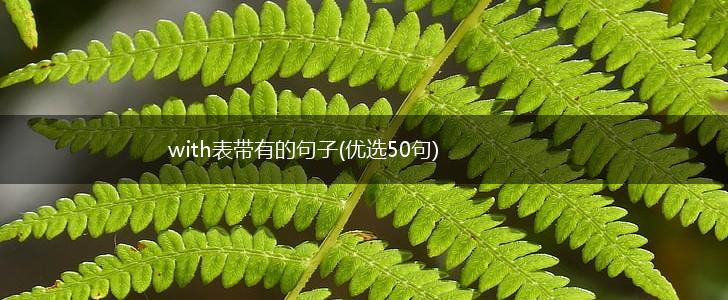 with表带有的句子(优选50句),第1张