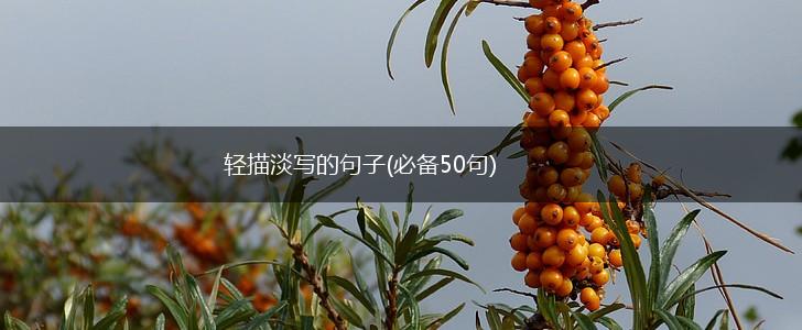 轻描淡写的句子(必备50句),第1张