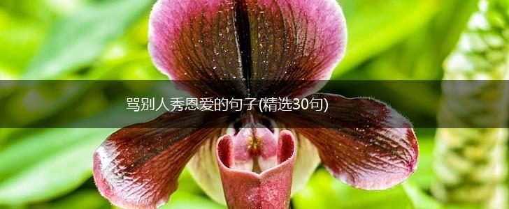 骂别人秀恩爱的句子(精选30句),第1张