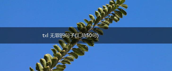 txl 无罪的句子(汇总50句),第1张