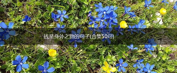 钱是身外之物的句子(合集50句),第1张