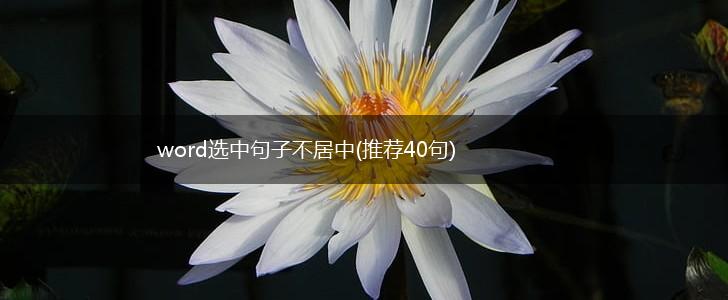word选中句子不居中(推荐40句),第1张