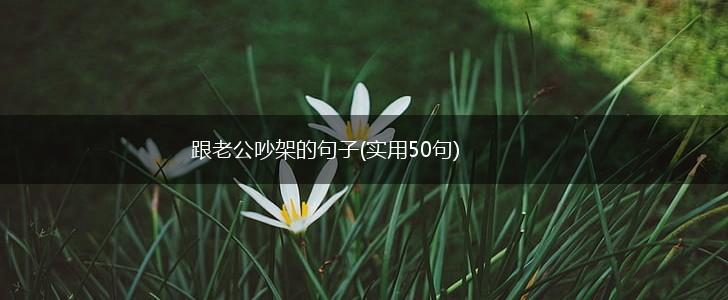 跟老公吵架的句子(实用50句),第1张