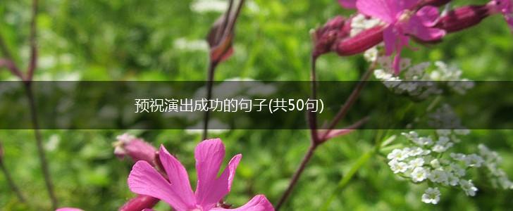 预祝演出成功的句子(共50句),第1张