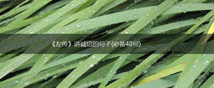 《左传》讲诚信的句子(必备40句),第1张