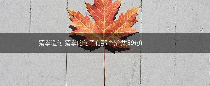 猜拳造句 猜拳的句子有那些(合集59句),第1张