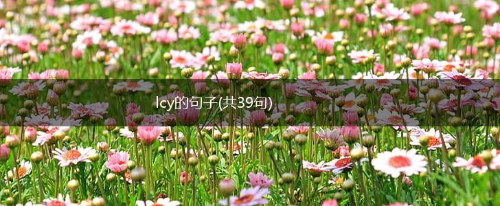lcy的句子(共39句),第1张