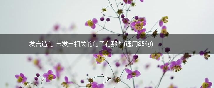 发言造句 与发言相关的句子有那些(通用85句),第1张