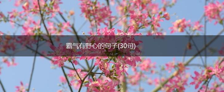 霸气有野心的句子(30句),第1张