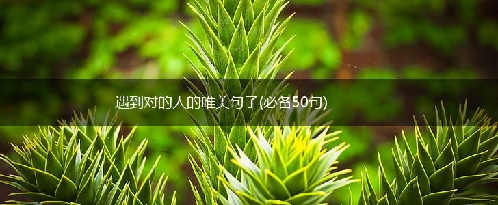 遇到对的人的唯美句子(必备50句),第1张