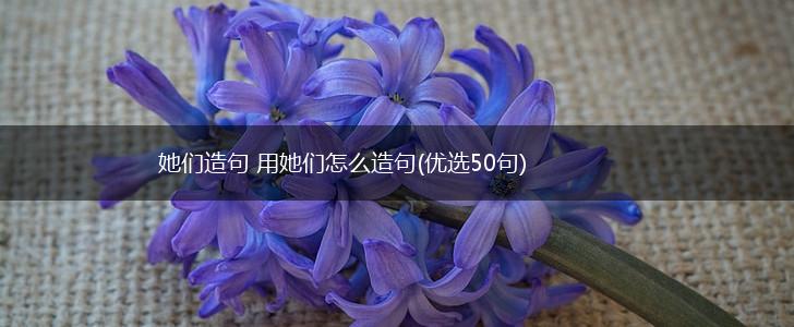 她们造句 用她们怎么造句(优选50句),第1张