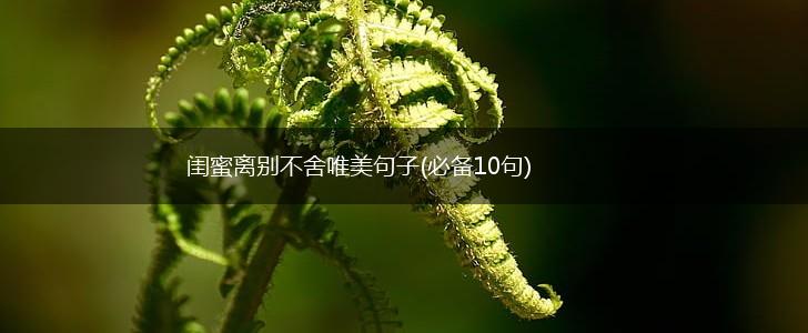 闺蜜离别不舍唯美句子(必备10句),第1张