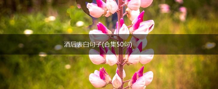 酒后表白句子(合集50句),第1张
