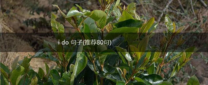 i do 句子(推荐80句),第1张