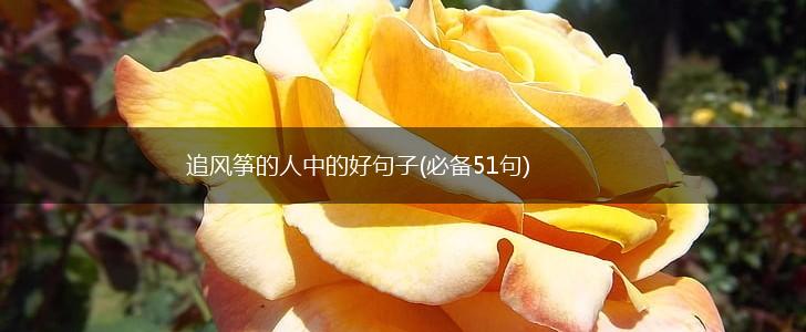 追风筝的人中的好句子(必备51句),第1张