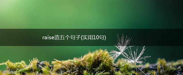 raise造五个句子(实用10句),第1张