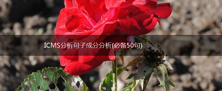 ICMS分析句子成分分析(必备50句),第1张