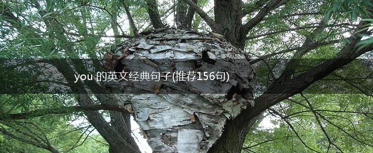 you 的英文经典句子(推荐156句),第1张