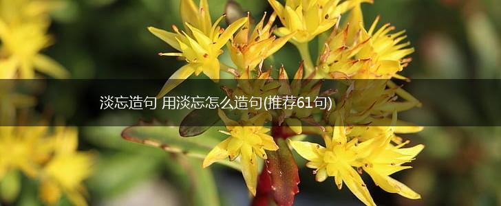 淡忘造句 用淡忘怎么造句(推荐61句),第1张