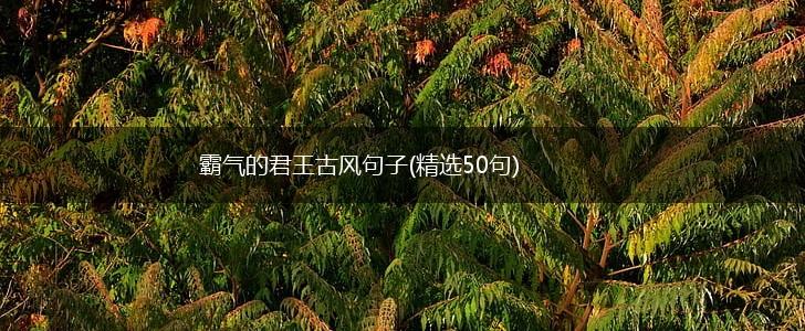 霸气的君王古风句子(精选50句),第1张