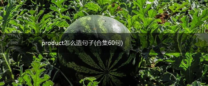 product怎么造句子(合集60句),第1张